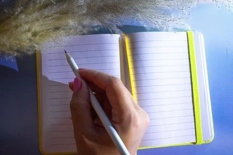 Creative Essentials: Where Ideas Bloom and Organize. Stock Photos