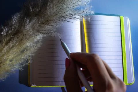 Creative Essentials: Where Ideas Bloom and Organize. Stock Photos