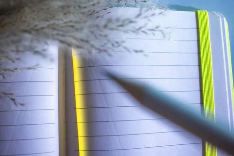 Creative Essentials: Where Ideas Bloom and Organize. Stock Photos