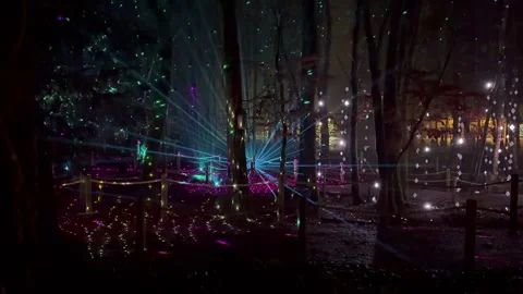 Creative fantasy laser light show in Longford forest trees, background Vídeo Stock 328625398
