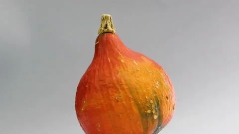 Creative fast and slowly pumpkin rotating on silver theme Stock-Footage 141597264