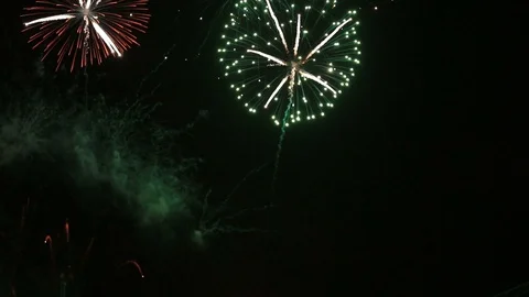 Creative fireworks flowers on the night sky Stock Footage 103635818