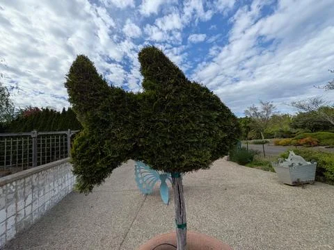 Creative fish-shaped topiary supported by wooden stakes Stock-Fotos