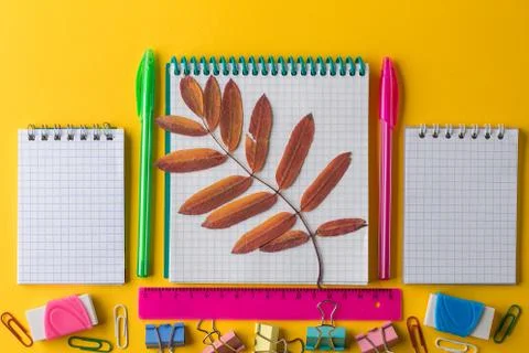 Creative flat lay back to school concept with Notepad Stock Photos