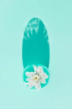 Creative flat lay composition done with white spring blossom inside the fashi Stock Photos