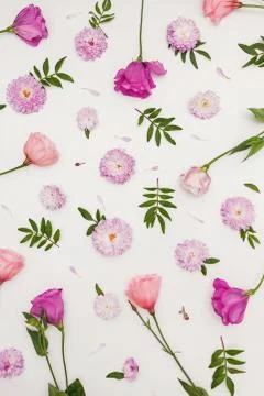 Creative flat lay composition with flowers, leaves and petals. Stock Photos