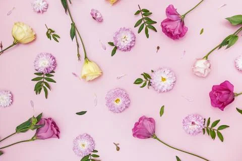 Creative flat lay composition with flowers, leaves and petals. Stock Photos