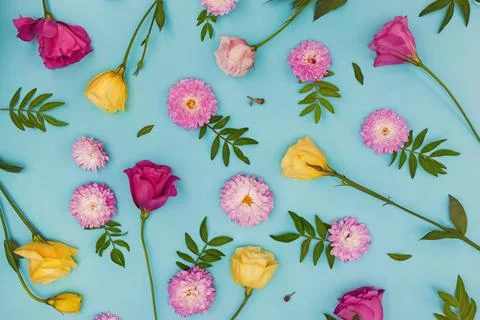 Creative flat lay composition with flowers, leaves and petals. Stock Photos