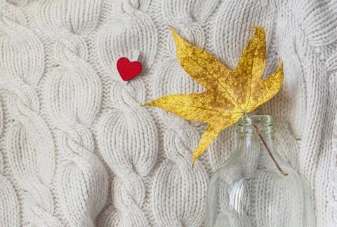 Creative flat lay composition on light background. Yellow leaf, knitted sweat Stock Photos