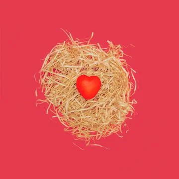 Creative flat lay concept. The love nest made of beige hay and one red heart Stock Photos