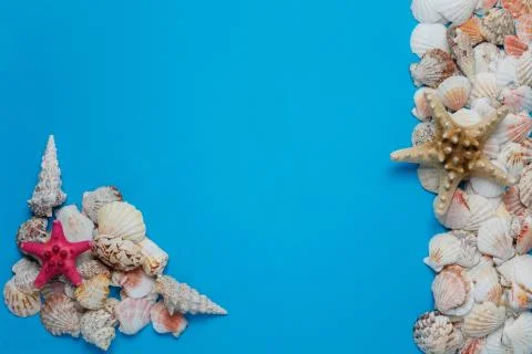 Creative flat lay concept of summer travel vacations. Top view of seashells a Stock Photos