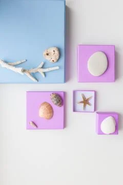 Creative flat lay concept of summer travel vacations. Top view of seashells and Stock Photos