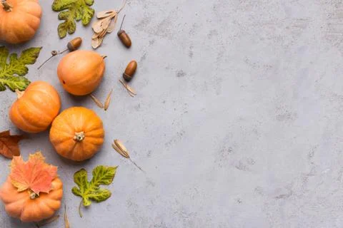 Creative flat lay of pumpkin harvest on gray background Stock Photos