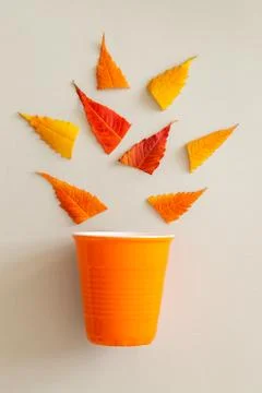 Creative flay lay of orange cup and leaves Stock Photos