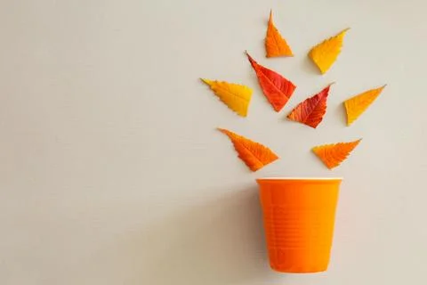 Creative flay lay of orange cup and leaves Stock Photos
