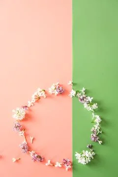 Creative floral flat lay with spring blossom branches Stock Photos