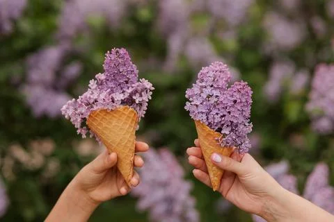 Creative Floral Ice Cream Cones for Spring Celebrations Stock Photos