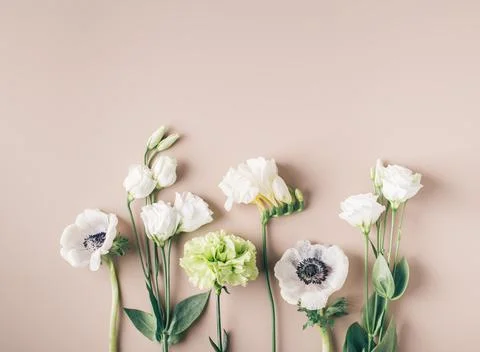 Creative flower background, pattern Stock Photos