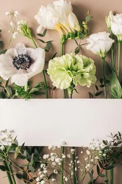 Creative flower background, pattern Stock Photos