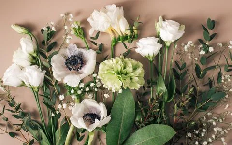 Creative flower background, pattern Stock Photos