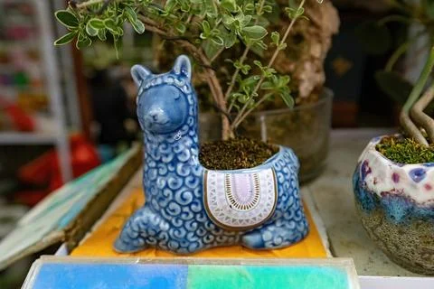 Creative flower pot close up in the shape of lama animal on the flower market Stock Photos