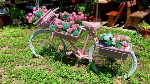 Creative flowerbed on a bicycle with flowers of different color. Stock Footage 252026463
