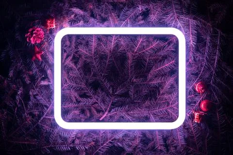 Creative fluorescent color layout made of spruce branches Stock Photos