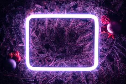 Creative fluorescent color layout made of spruce branches Stock Photos
