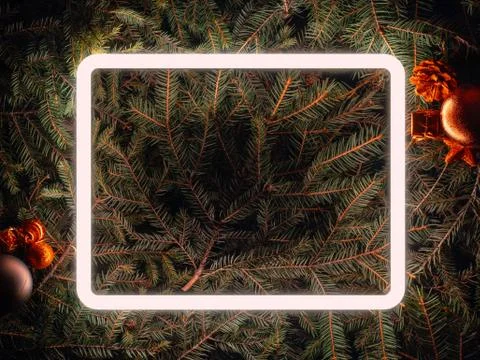 Creative fluorescent color layout made of spruce branches Stock Photos