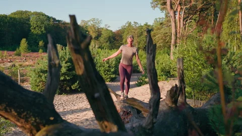 Creative foreground view through the tree branches of a dead tree on a sandy Stock Footage 344463895