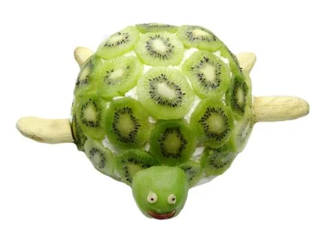 Creative fruit child dessert turtle form Stock Photos