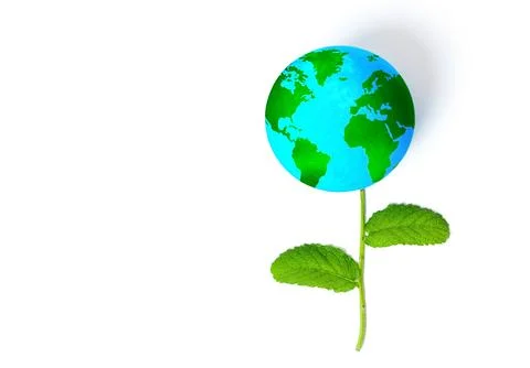 Creative Globe Flower Composition Stockfoto's