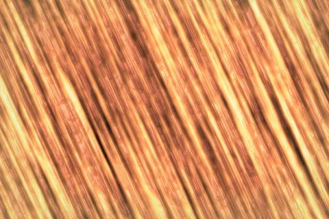 Creative glowing metal lines computer graphic backdrop illustration 스톡 일러스트