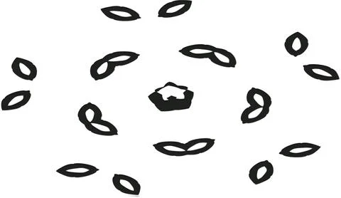 Creative Gradient Vector Shapes for Multi Purpose Artwork Stock Illustration