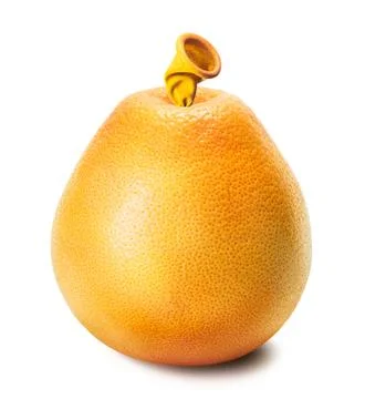 Creative grapefruit balloon Stock Photos