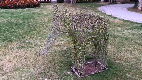 Creative Grass Elephant Sculpture in Public Park Garden 스톡 동영상 344645764