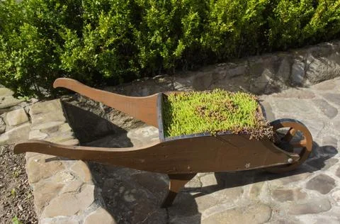 Creative grass  in the trolley Stockfoto's