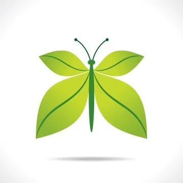 Creative green leaf butterfly design concept vector Stock-Illustration