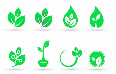 Creative green leaf logos set, green leaf ecology nature element vector icon Stock Illustration