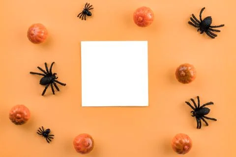 Creative Halloween composition. Pumpkins, spiders and paper blank on pastel o Stock Photos
