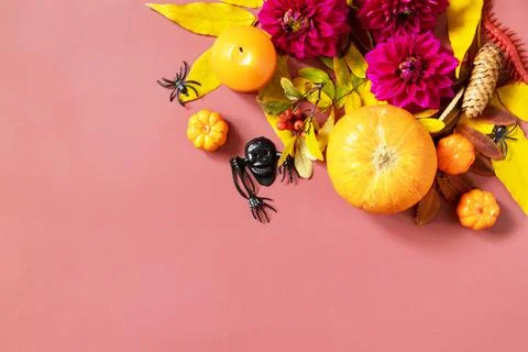 Creative halloween concept backdrop. Halloween background with candles, pumpk Stock Photos