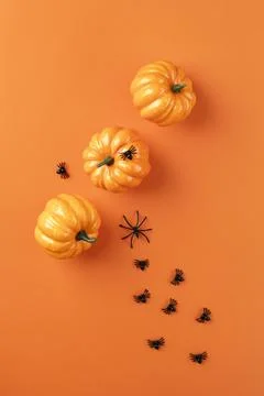 The Creative halloween elements assortment Stock Photos