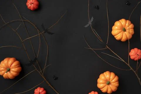 The Creative halloween elements assortment Stock Photos