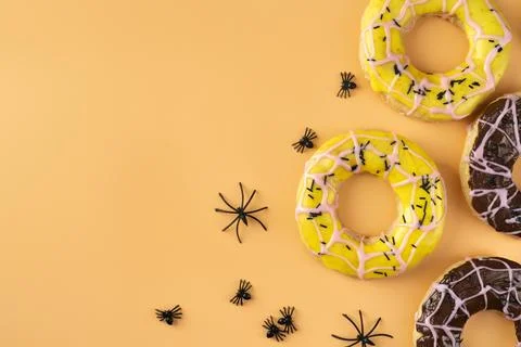 The Creative halloween elements assortment Stock Photos