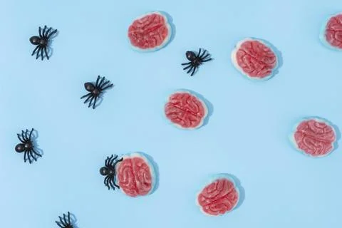 The Creative halloween elements assortment Stock Photos