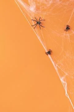 The Creative halloween elements assortment Stock Photos