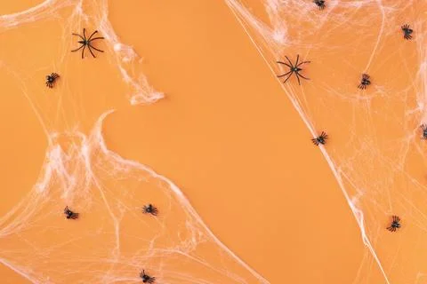 The Creative halloween elements assortment Stock Photos