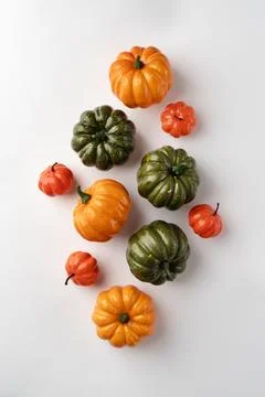 The Creative halloween elements assortment Stock Photos
