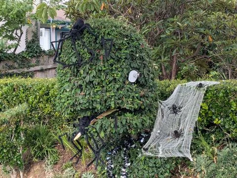Creative Halloween yard display featuring a plant shaped like a head Stock Photos