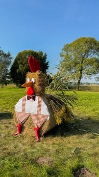 Creative hay bale art installation resembling a chicken in rural setting wi.. Stock Photos